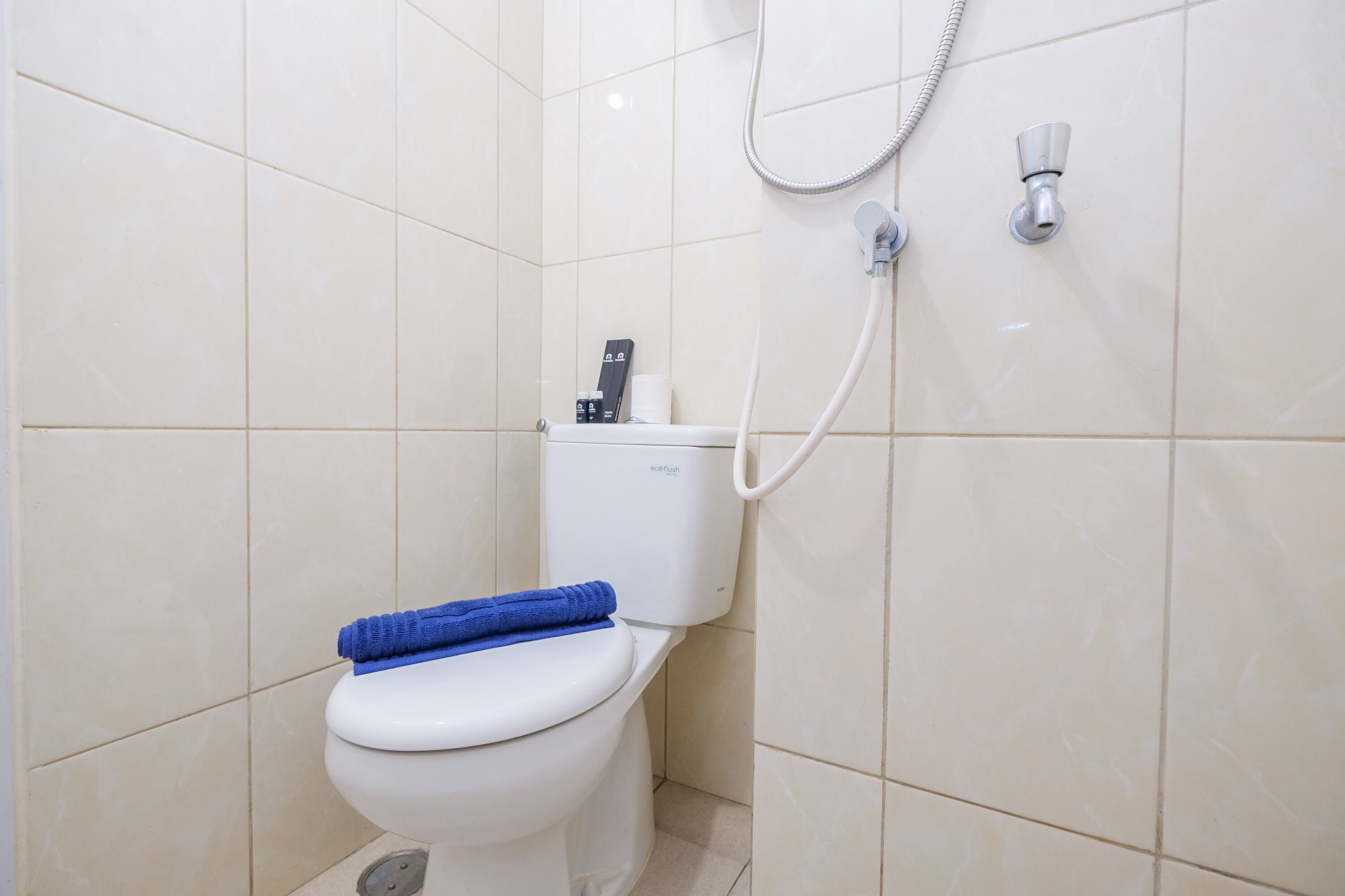 A bathroom with a toilet, a shower, and a toilet paper holder.