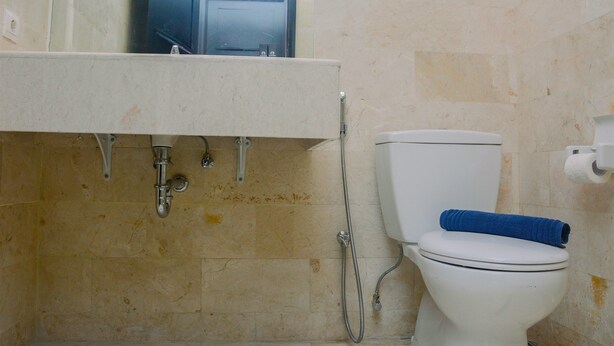 Une salle de bain avec des toilettes blanches, un lavabo avec un miroir au-dessus et une pomme de douche.