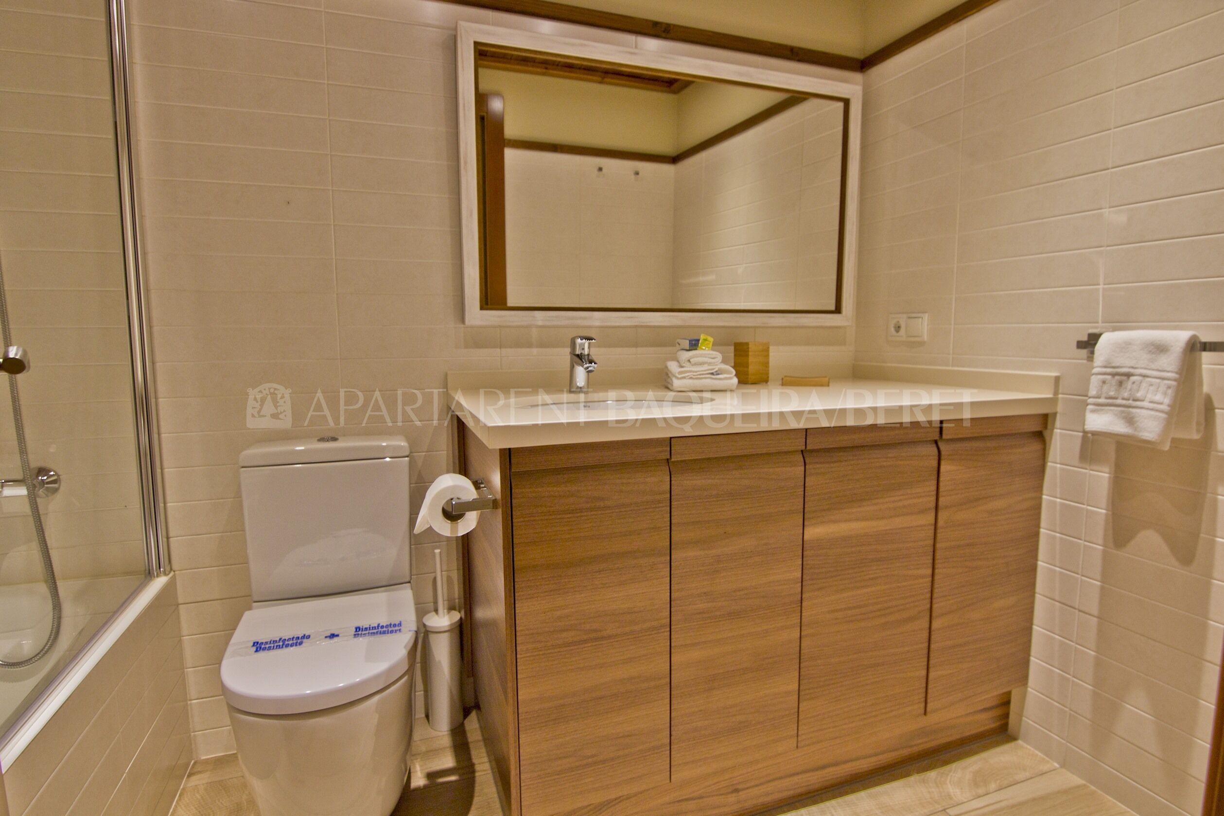 A bathroom with a toilet, a sink, a mirror, and a shower.