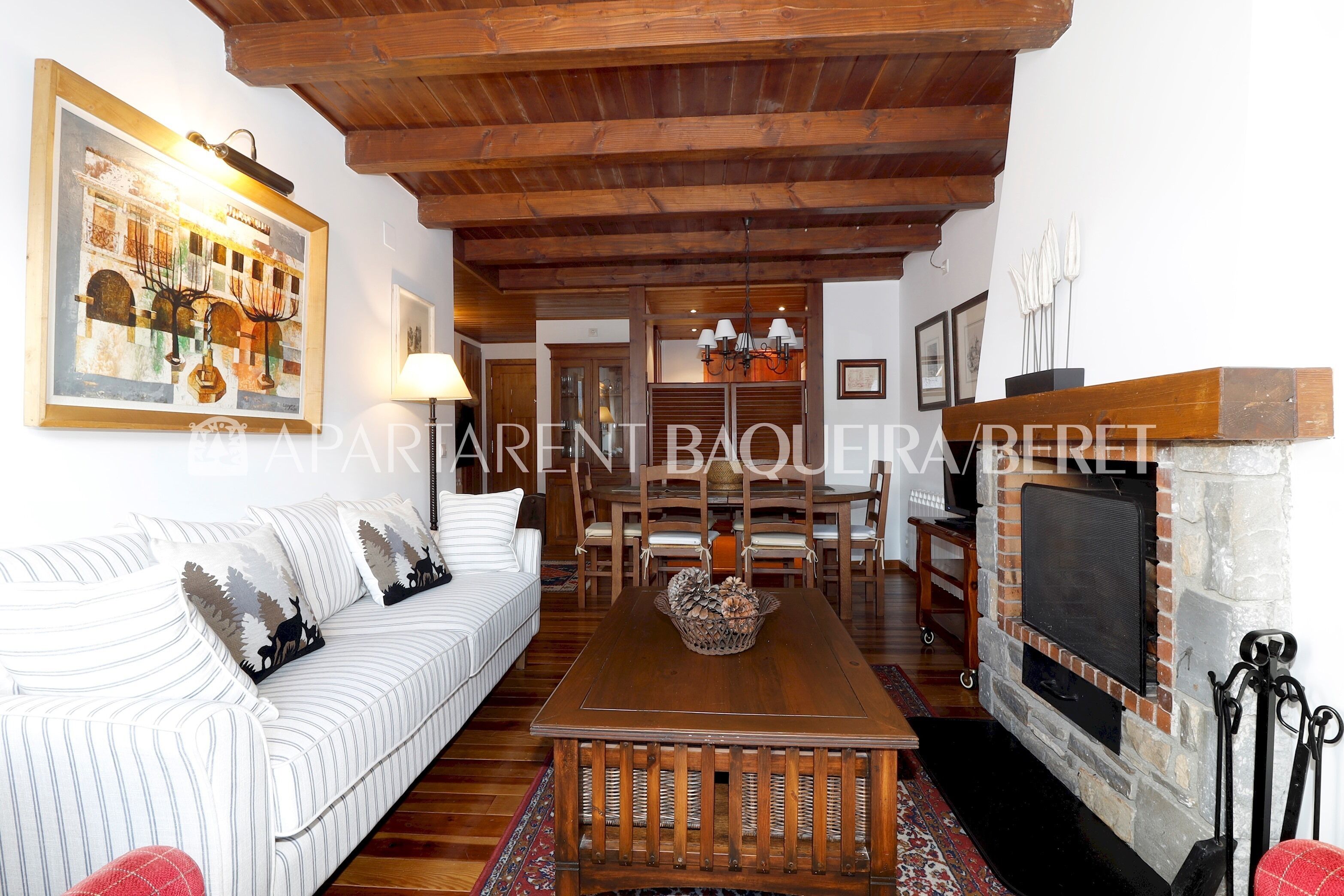 Télévision, cheminée, chaîne hi-fi