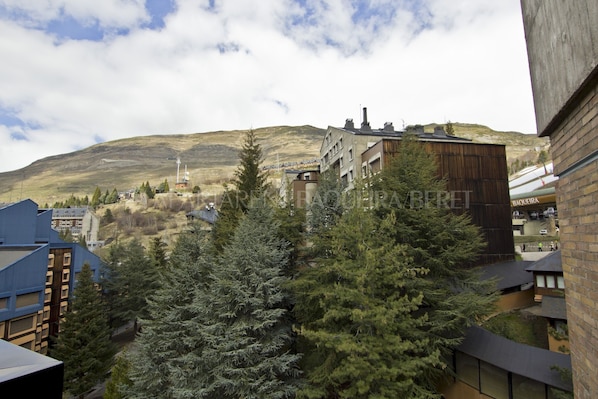 A building with a modern architectural design, surrounded by evergreen trees.