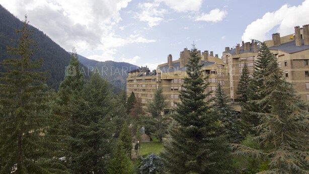 A multi-story building with a traditional architectural style, surrounded by dense evergreen trees and a mountainous backdrop.
