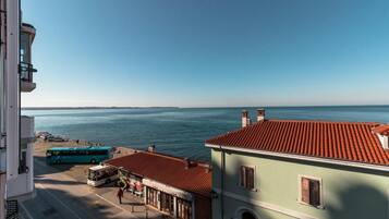 Apartment (Two bedroom apartment) | View from property