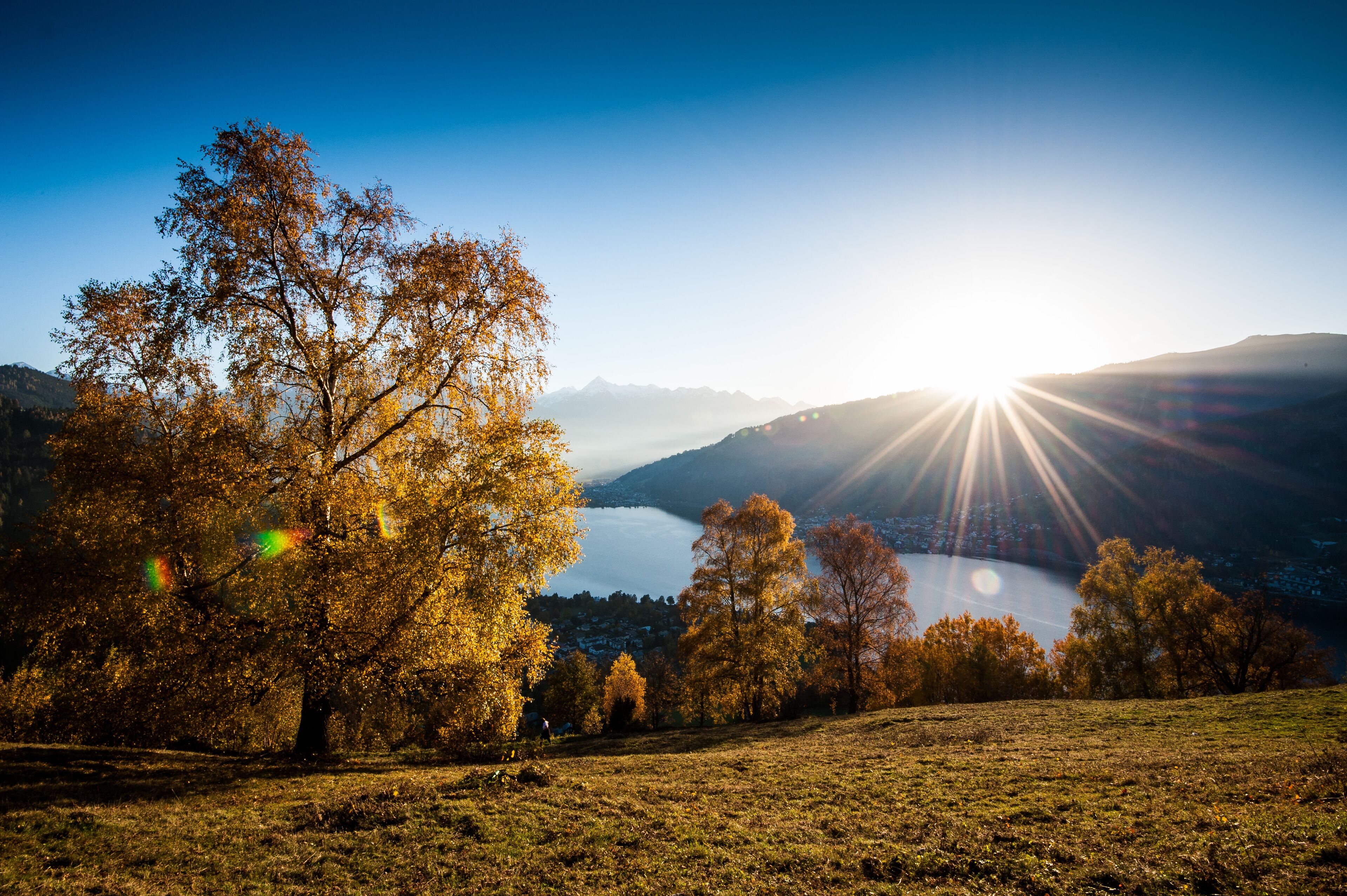Un paisaje con un lago, árboles y montañas al fondo.