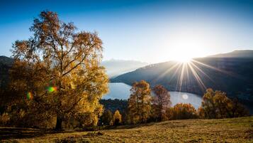Un paisaje con un lago, árboles y montañas al fondo.