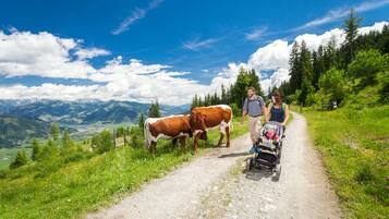 A dirt path with two cows and a stroller, surrounded by greenery and mountains.