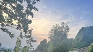 Eine grüne Wiese mit einer Steinmauer und Bäumen.