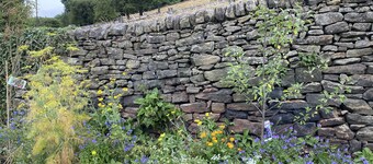 Cosy cottage, stunning views near Chatsworth