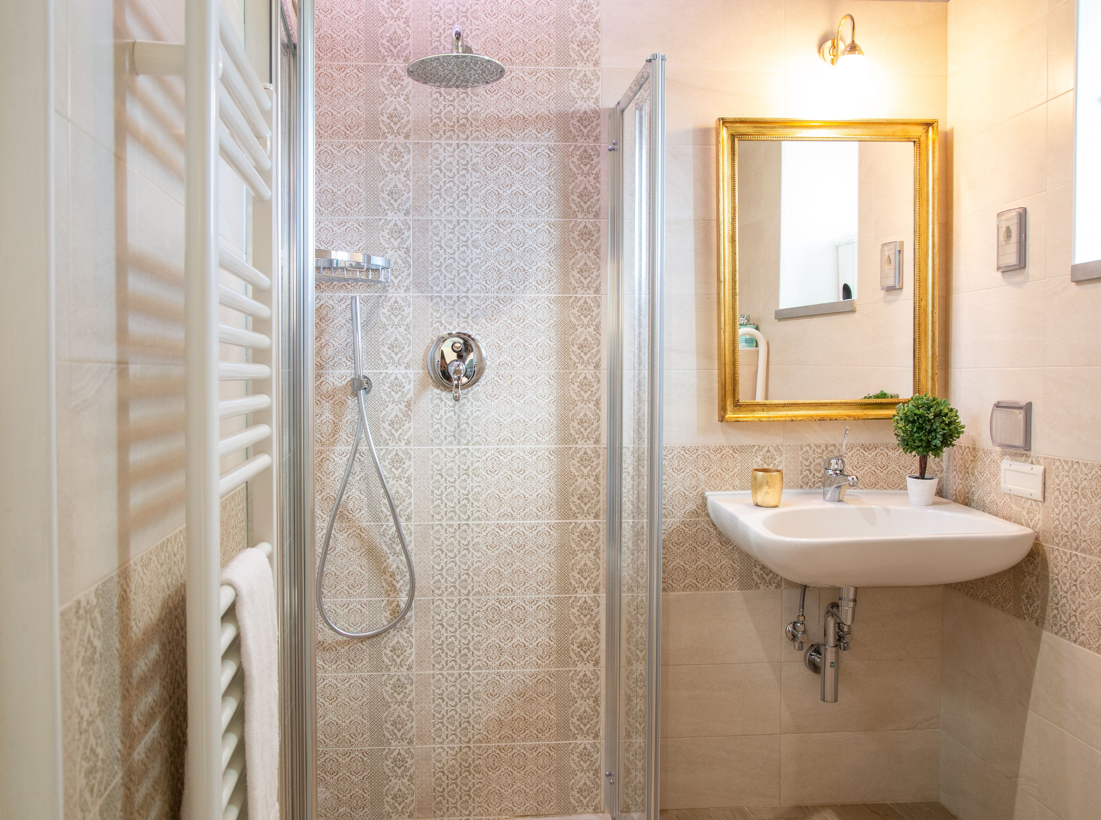 A bathroom with a shower, a sink, a mirror, and a small plant.