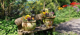 Double room - Double and single room An in the Pension Altes Posthaus