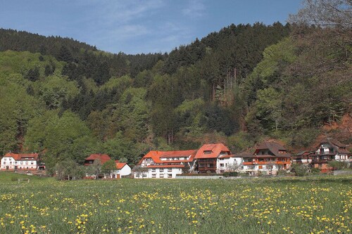 Vacation apartment at the Rain in the southern Black Forest - top equipment