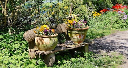 Einzelzimmer - Einzelzimmer Pension Altes Posthaus