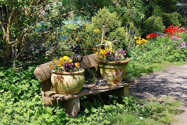 Overnatningsstedets område