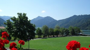 Un parc avec un terrain herbeux, des fleurs rouges, des arbres et des montagnes en arrière-plan.