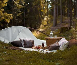 Enceinte de l’hébergement