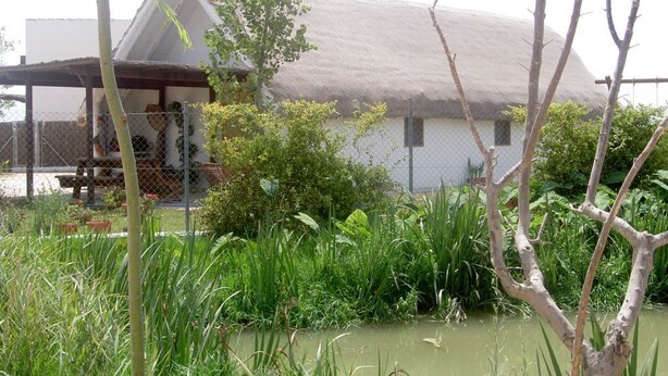 A house with a thatched roof, surrounded by lush greenery and a small pond. - Salvador's barrack (Canyadora)