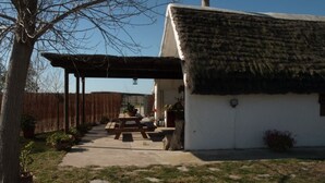 A rustic building with a thatched roof, a wooden bench, and potted plants. - Salvador's barrack (Canyadora)