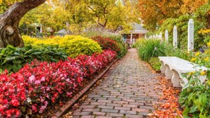 A garden pathway with a brick surface, surrounded by various plants and flowers. - Great Price;Beautiful, Spacious 3 Bed 2 Bath in a House Near Downtown Portsmouth (Portsmouth)