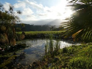 Property grounds - Vida-Vi, Country House and B&B (Caldas da Rainha)