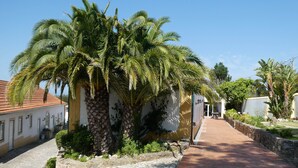 A cobblestone pathway leading to a building with a tiled roof and a palm tree in the foreground. - Vida-Vi, Country House and B&B (Caldas da Rainha)