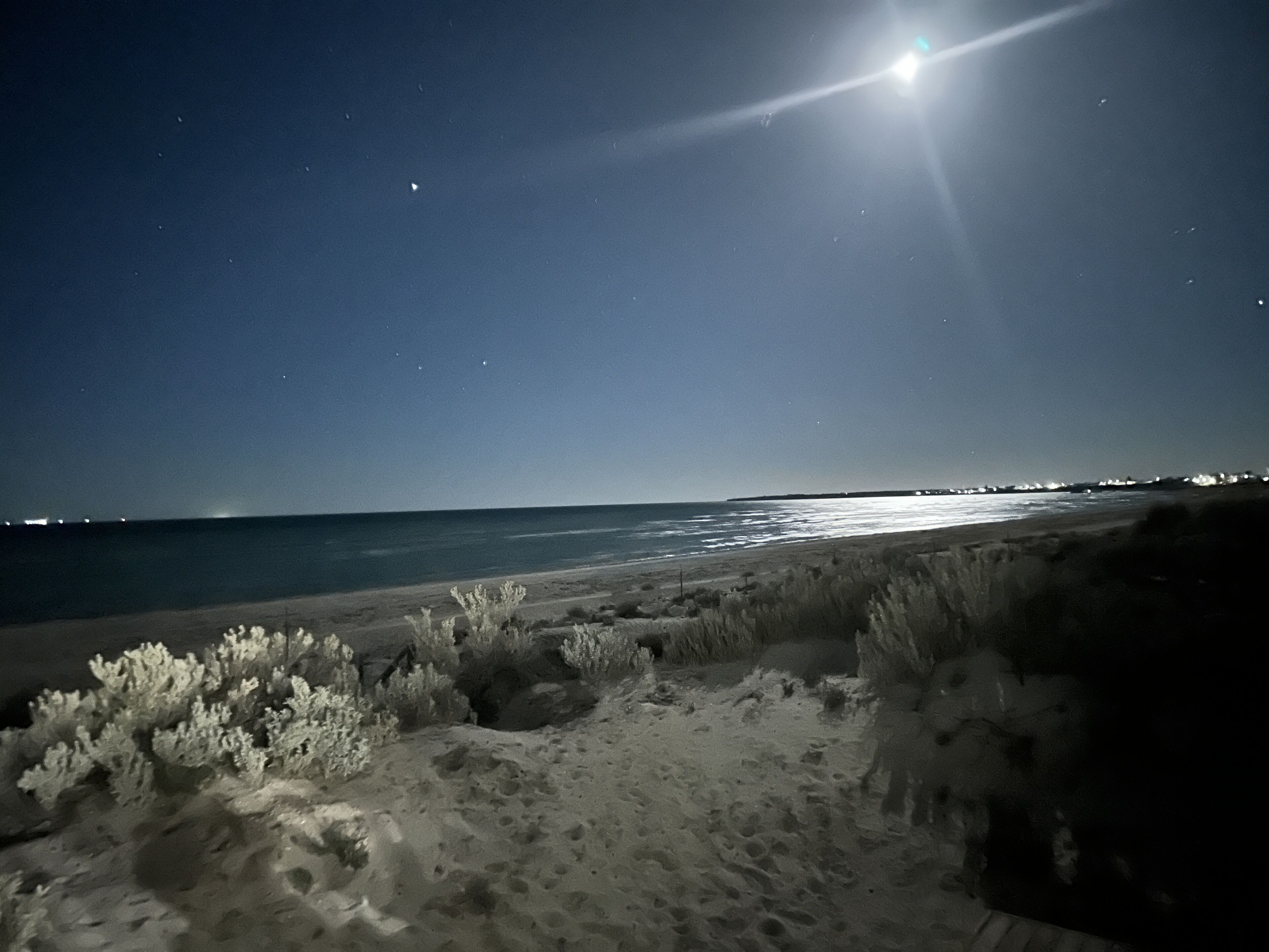 På stranden, liggestole