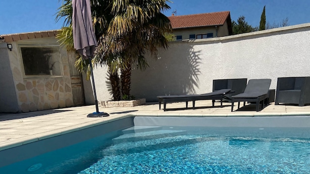 Ein klares Schwimmbecken mit Liegestühlen und einer Palme.