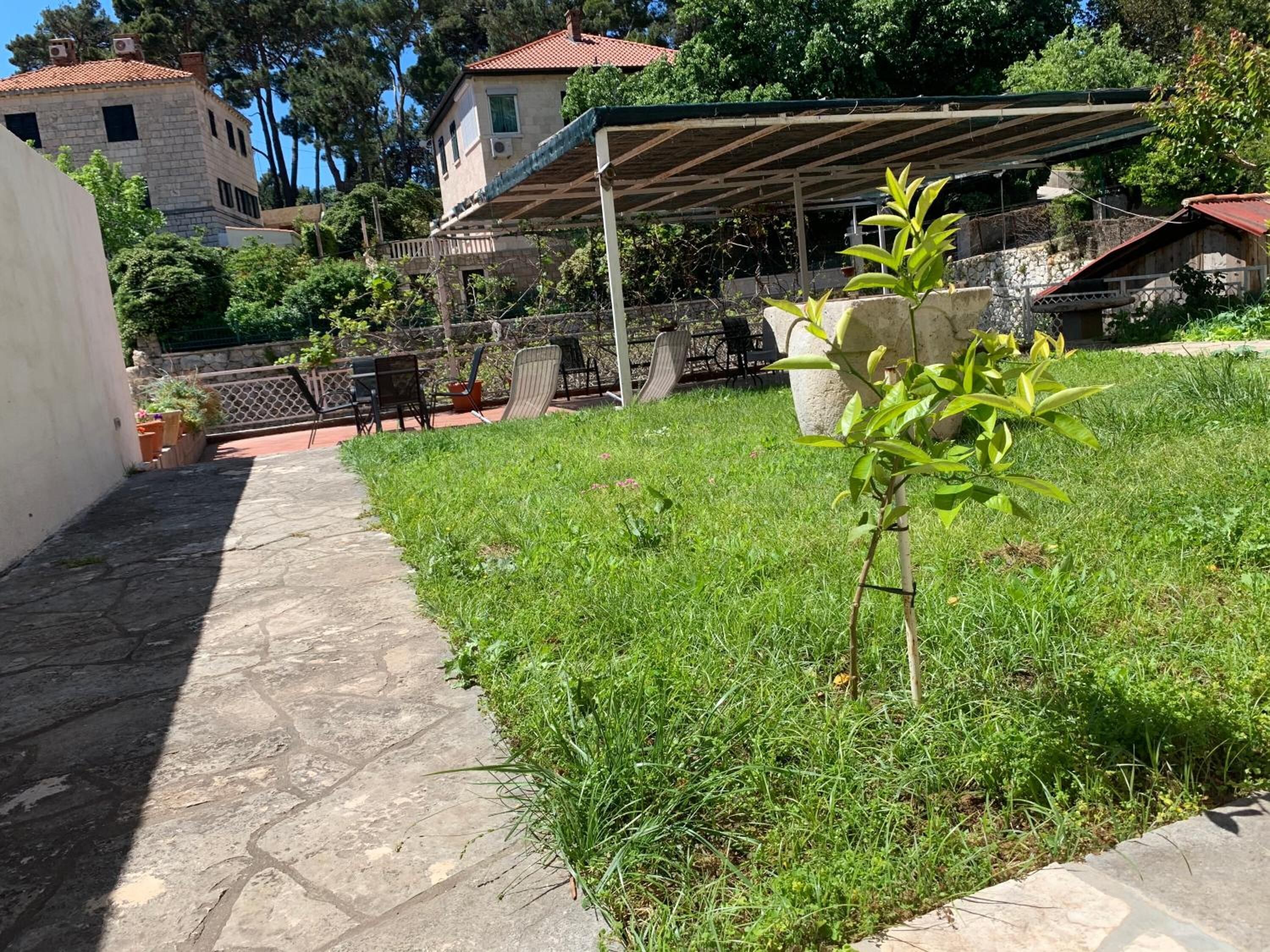 Foto - guesthouse Libertas