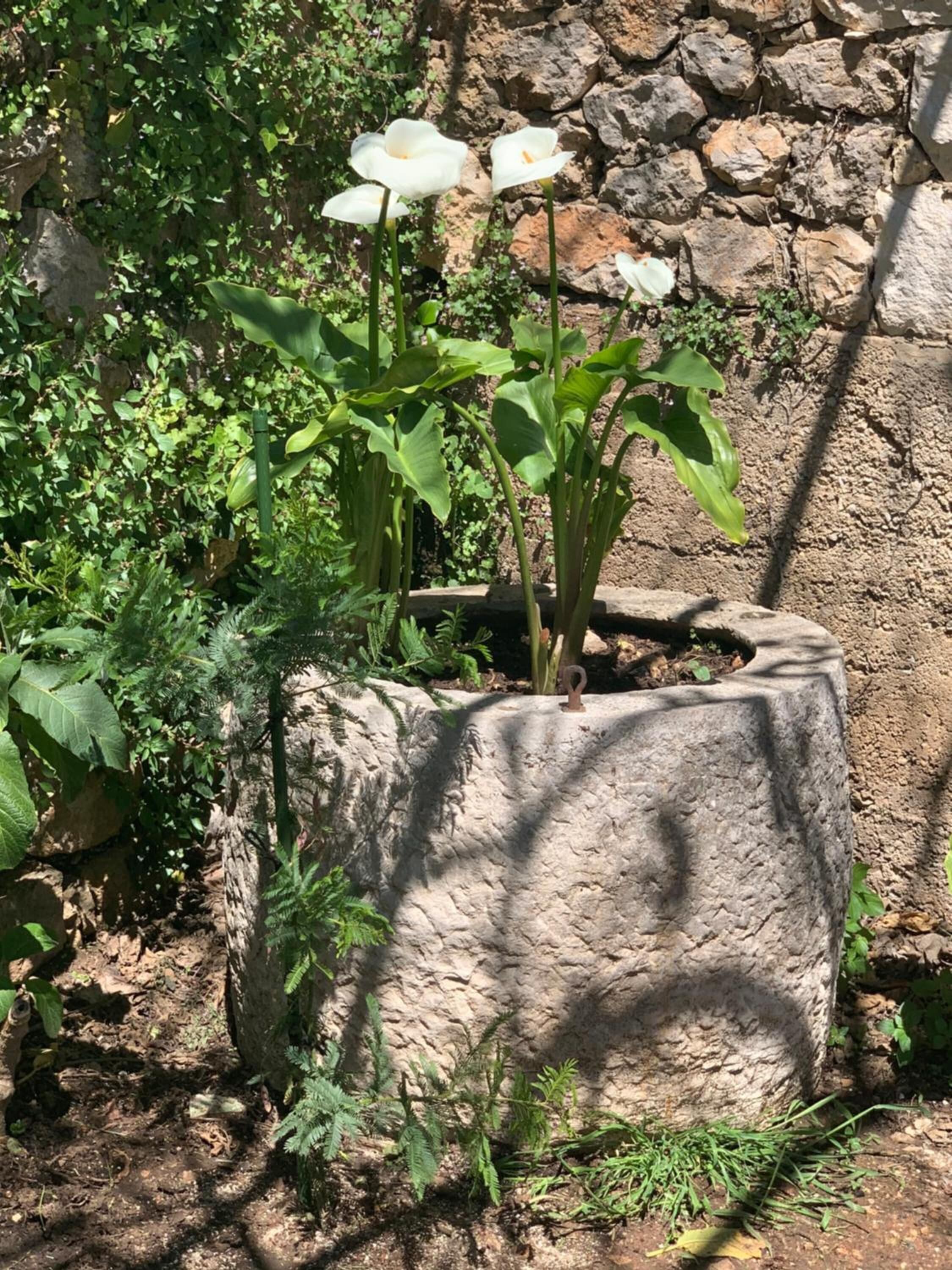 Foto - guesthouse Libertas