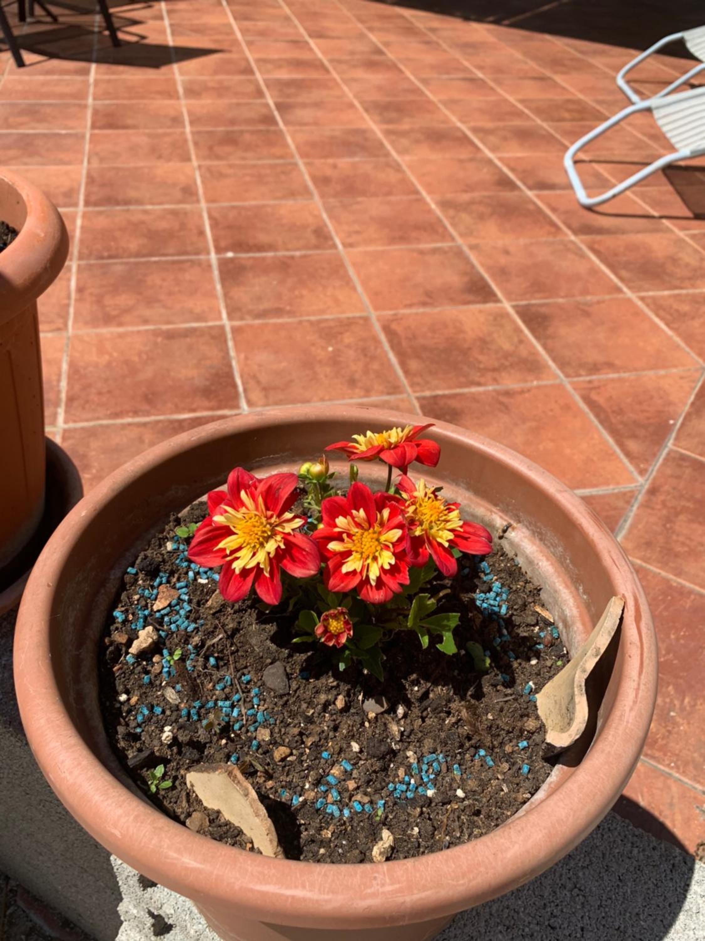 Foto - guesthouse Libertas