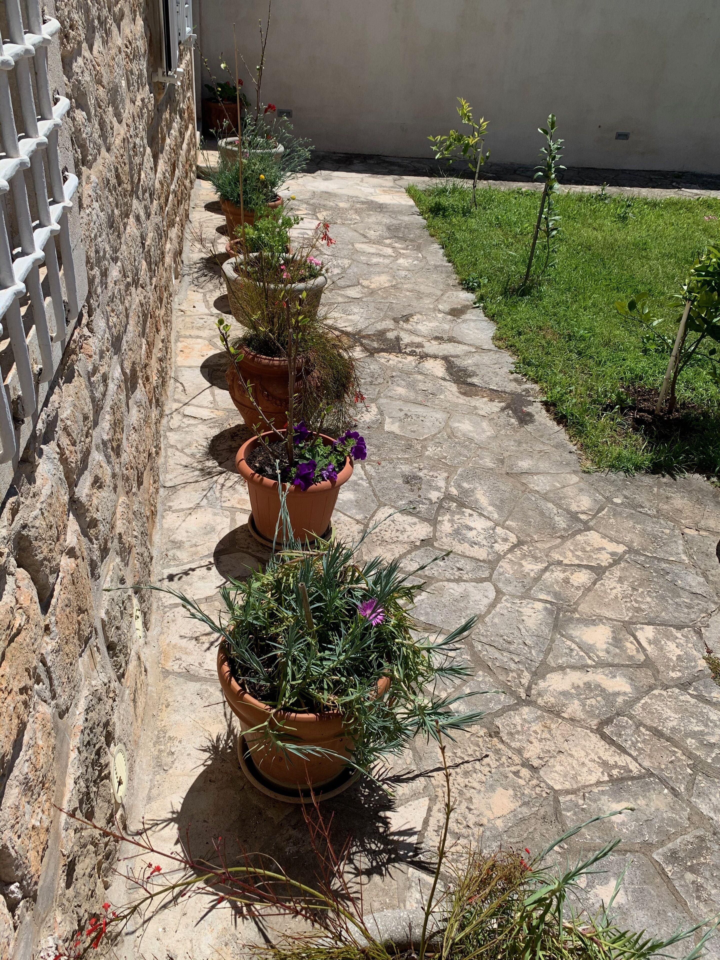 Foto - guesthouse Libertas