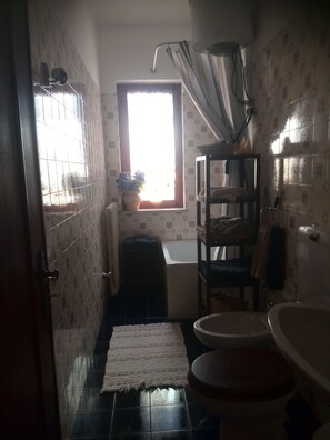 Combined shower/tub, hair dryer, bidet, towels
