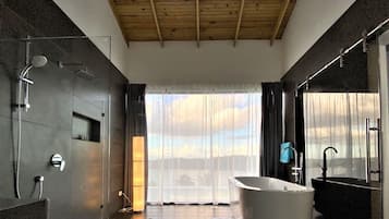 Bathtub, hair dryer, towels, soap