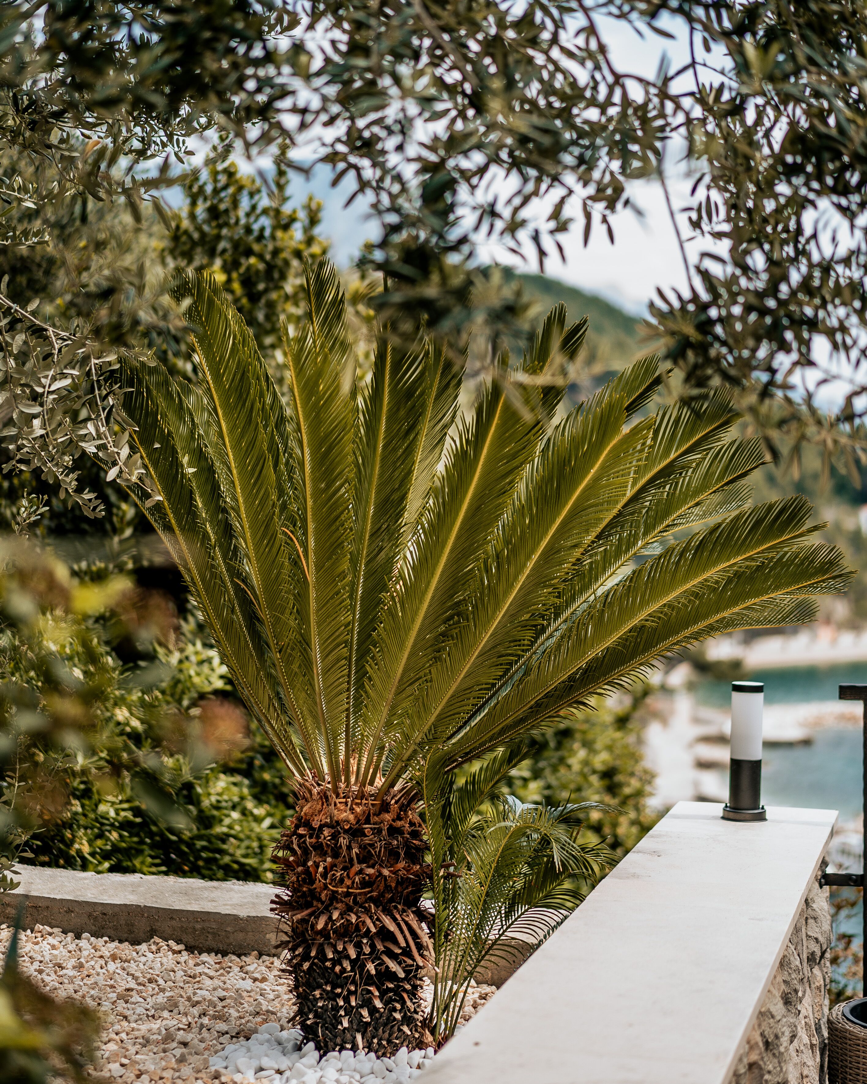 Luksusleilighet, delvis sjøutsikt | Terrasse/patio