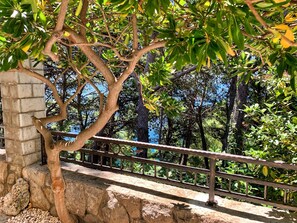 Suite estudio | Terraza o patio