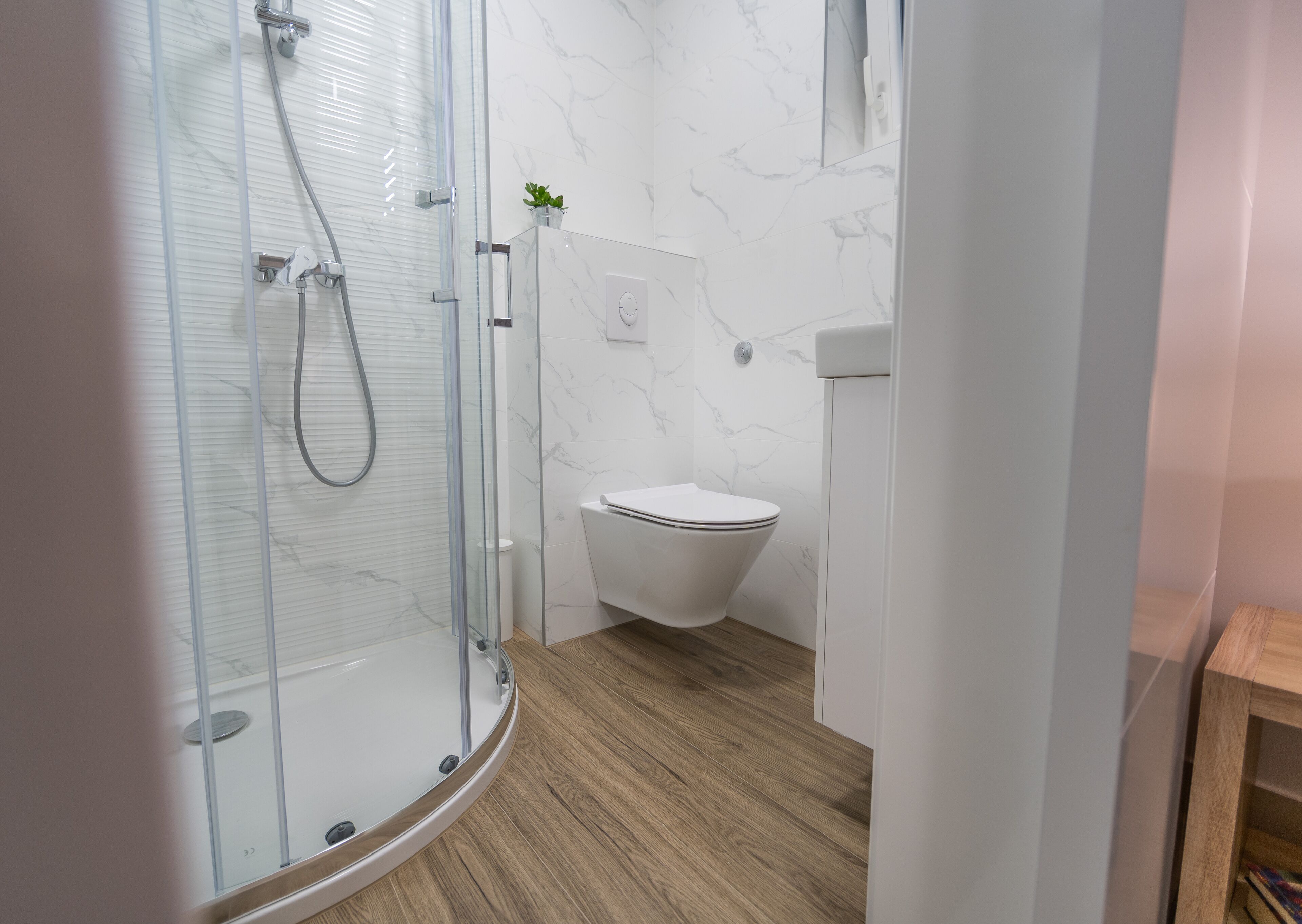 A modern bathroom with a glass shower enclosure, a toilet, and a small potted plant.