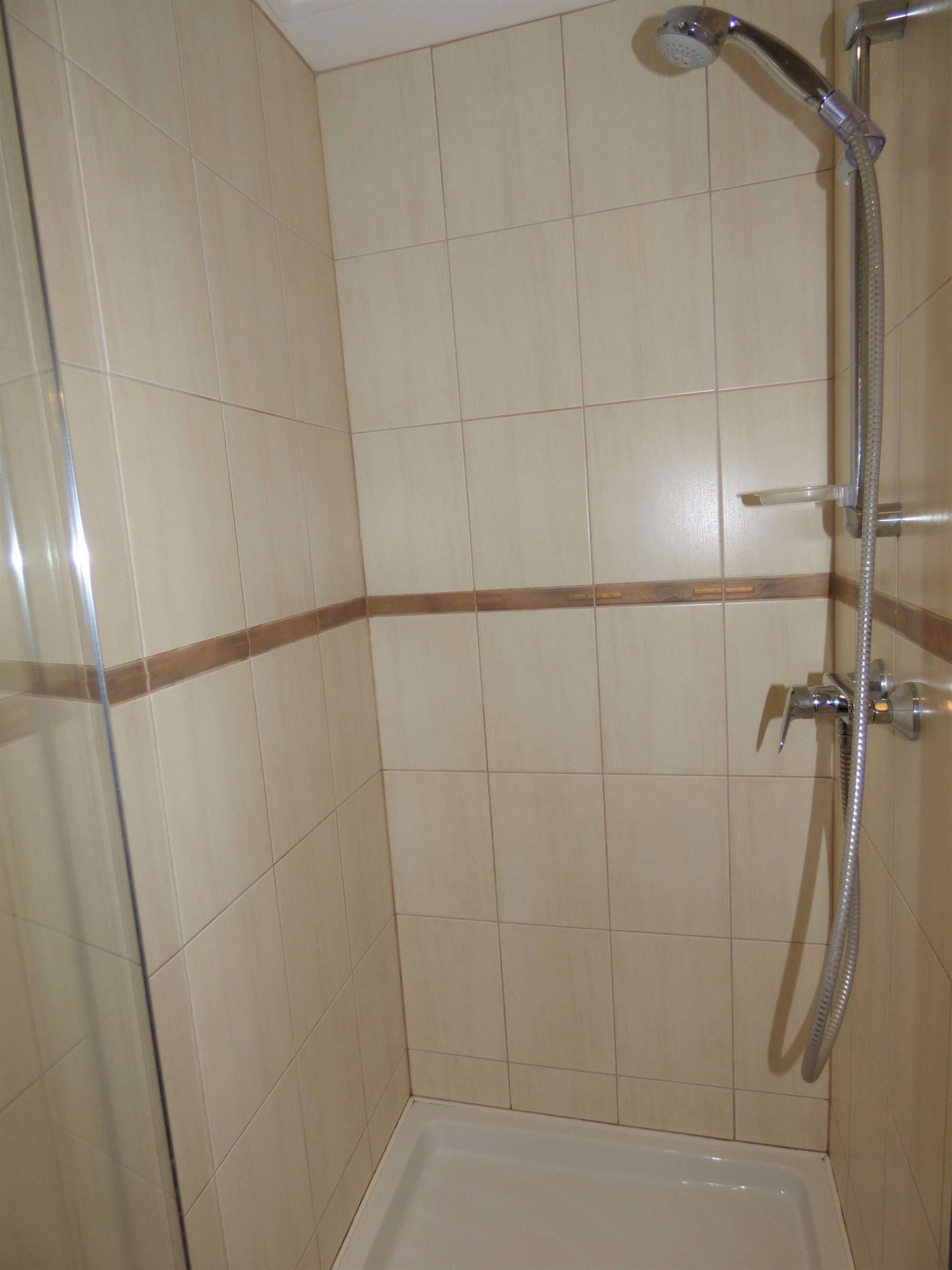Shower, hair dryer