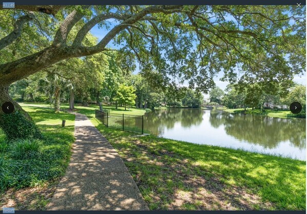Ein friedlicher Park mit Teich, einem Fußweg und einem großen Baum, der Schatten spendet.