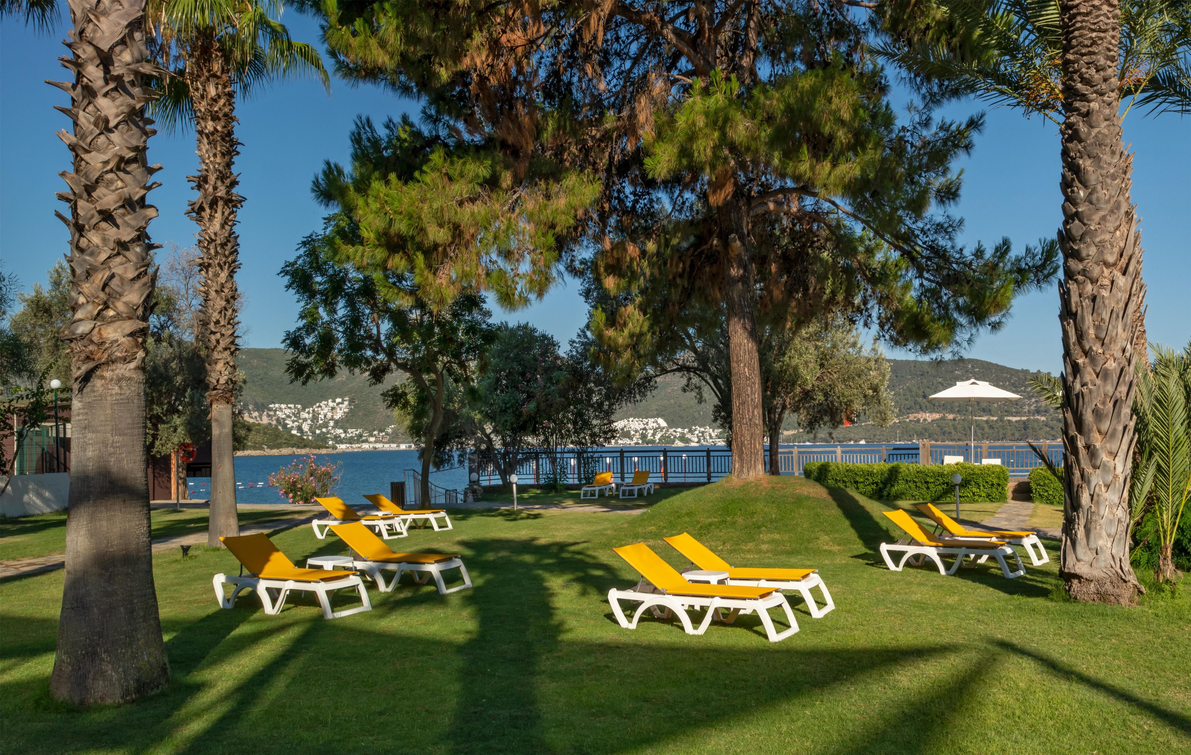 A coastal resort with sun loungers, palm trees, and a view of the sea.