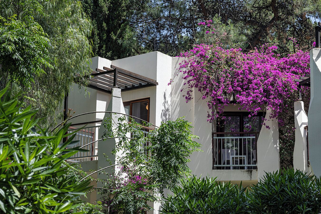 Un bâtiment moderne doté d’un balcon, entouré d’une végétation luxuriante et de plantes en fleurs.