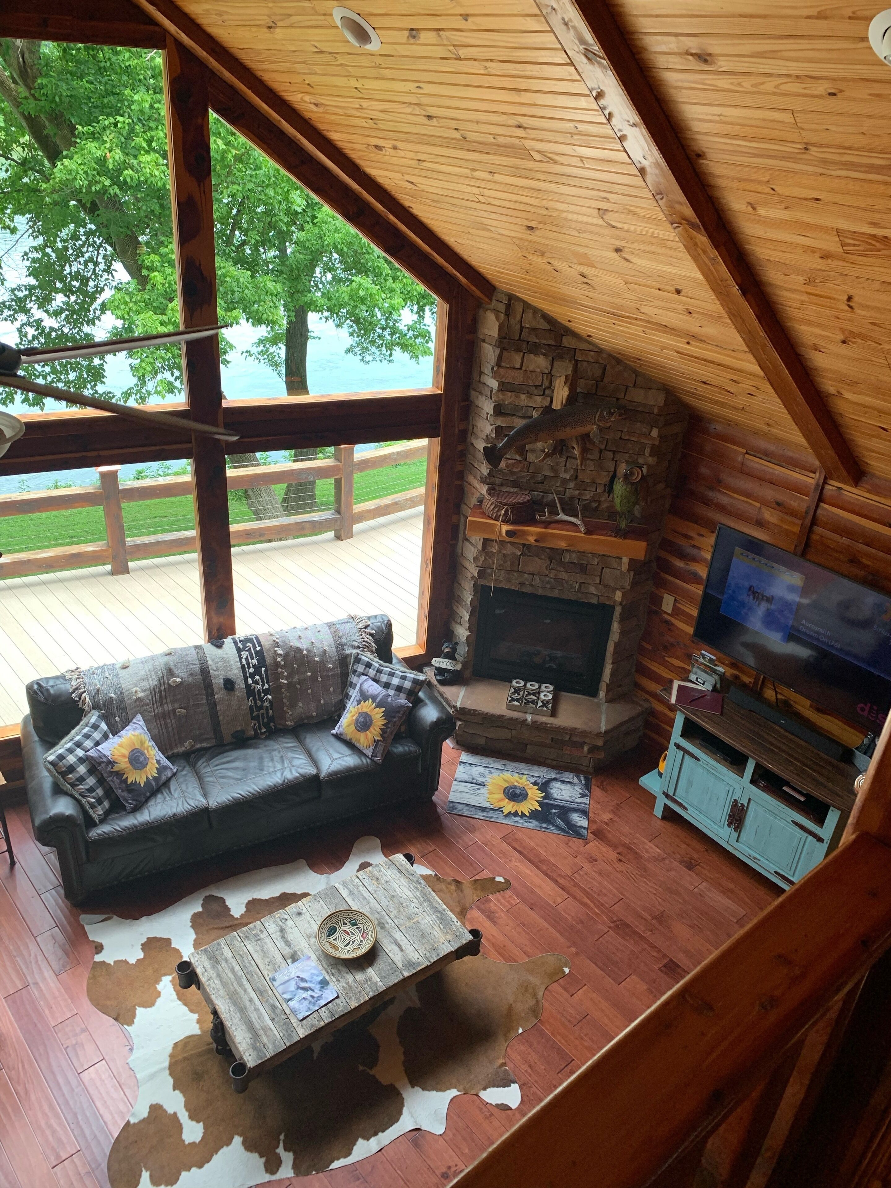 智能电视、壁炉、DVD 播放器、乒乓球