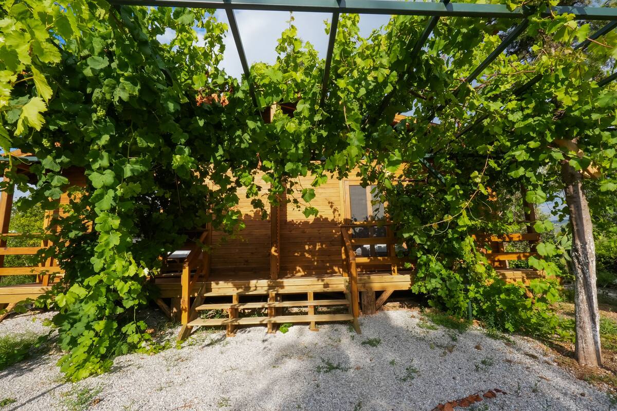 Una pergola in legno su un terreno ghiaioso, circondata da un rigoglioso fogliame verde.