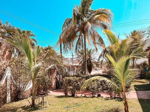 Property grounds - Beautiful Beach House, at lo de Marcos, Nayarit. (Lo de Marcos)