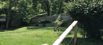 Explore Pittsburgh from a Modern, Hip Bungalow