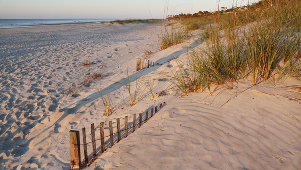 A sandy beach with a wooden fence and tall grass. - Beach Access Villa with Indoor & Outdoor Pools - Private Balcony - Updated (Hilton Head Island)