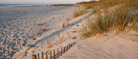 En la playa y camastros