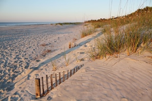 A sandy beach with a wooden fence and tall grass.