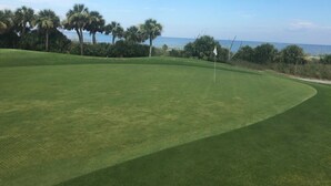 A well-maintained golf course with a flagstick, surrounded by palm trees and a clear view of the ocean. - Beach Access Villa with Indoor & Outdoor Pools - Private Balcony - Updated (Hilton Head Island)