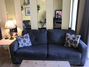 Smart-TV, DVD-Player, Bücher, Videothek