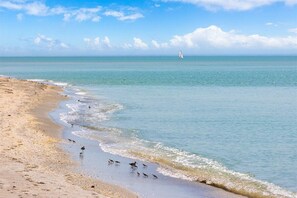 On the beach, sun-loungers, beach towels - Direct Beachfront Villa Sea Palms Estate Captiva - SUMMER weeks still available! (Captiva)