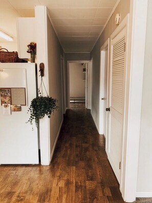 Stunning hallway with a hanging plant and doors leading to further rooms.